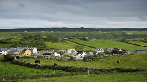 Ireland-County-Clare-Doolin-Village-With-Cows-Grazing