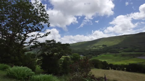 Irland-County-Kerry-Hills-Und-Baum