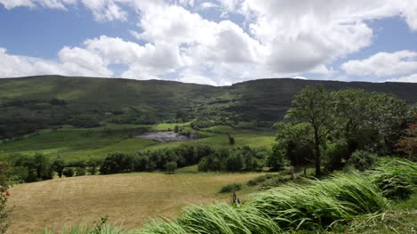 Irland-County-Kerry-Hills-Bergfeld-Und-Wald-Mountain