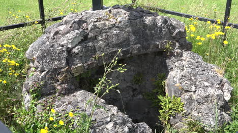 Ireland-County-Offaly-Old-Holy-Well