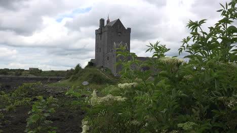 Ireland-Dunguaire-Castle-With-Tourists-Climbing-Steps