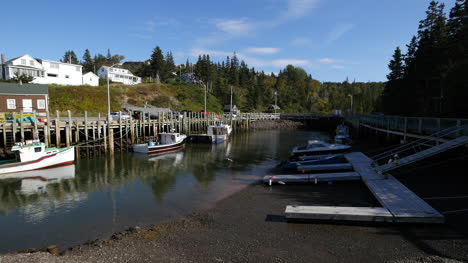 Canada-Sea-Gull-Lands-Near-Docks-With-Tide-Going-Out