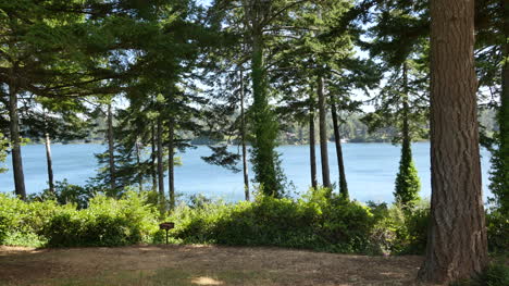 Lago-Oregon-Cerca-De-La-Costa