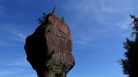 Canada-New-Brunswick-Hopewell-Rocks-Top-Of-Rock