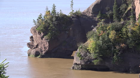 Kanada-Vegetation-Auf-Felsen-über-Der-Bucht-Von-Fundy