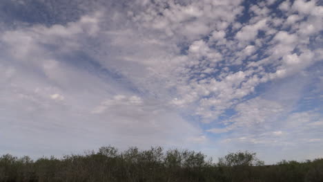 Florida-Everglades-Faszinierender-Himmel-über-Niedrigen-Sträuchern