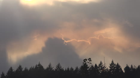 Oregon-Sonnenstrahlen-Jenseits-Von-Bäumen-Zeitraffer