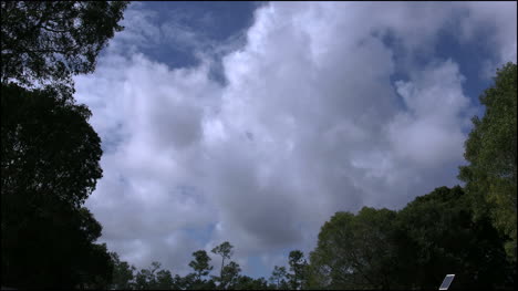 Florida-Everglades-Clouds-Time-Lapse