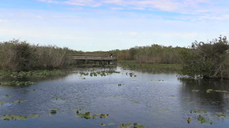 Florida-Everglades-Lake-And-Observation-Platform