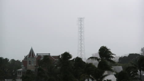 Florida-Key-West-Palm-Und-Turm-Mit-Licht-Im-Regen