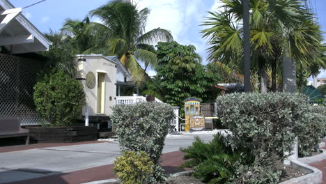 Florida-Key-West-Scene-With-Palms