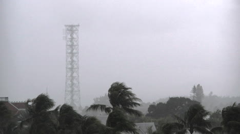 Florida-Key-West-Tower-With-Palm-In-Rain