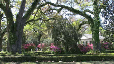 Louisiana-Rosedown-Gardens-With-Live-Oaks