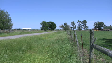Louisiana-Fence-And-Road