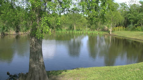 Louisiana-Lake-With-Reflections