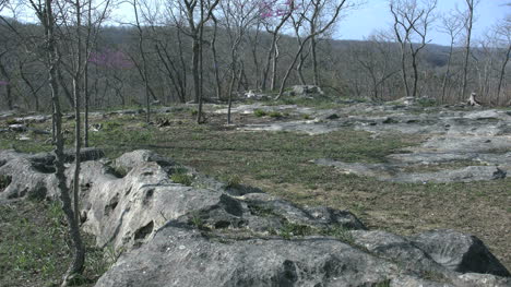 Missouri-Landscape-With-Rocks