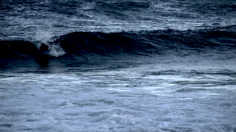 Oahu-Sandstrand-Surfer
