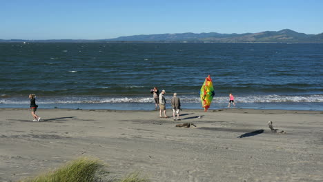 Oregon-Columbia-River-Beach-Flying-Kite-By-Water