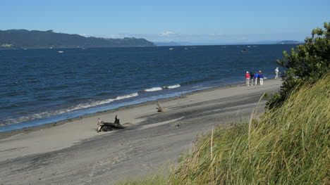 Oregon-Columbia-River-Beach-With-Grass