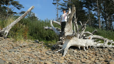 Oregon-Coast-Boy-On-Dead-Tree