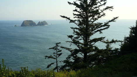 Oregon-Offshore-Island-And-Tree