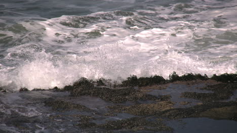 Oregon-Waves-On-Seaweed-At-Depot-Bay