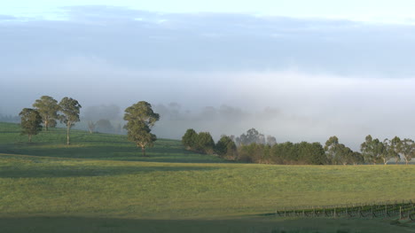 Australia-Outlook-Hill-Misty-View
