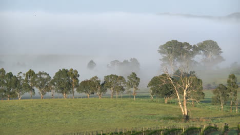 Australia-Outlook-Hill-Zoom-Out-From-Mist