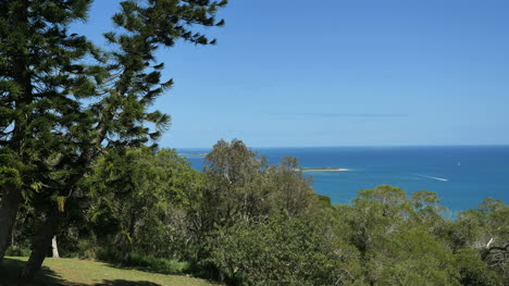 New-Caledonia-Noumea-Trees-And-Lagoon