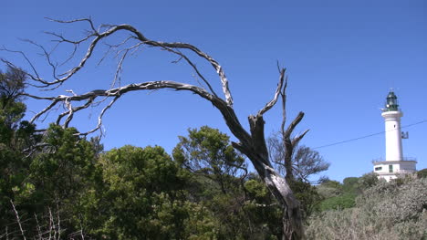 Australia-Punto-Lonsdale-Nudoso-árbol-Y-Faro