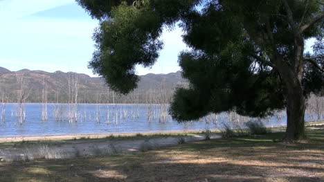 Australia-Lake-In-Grampians-With-Tree