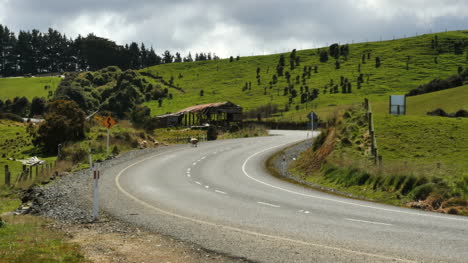 New-Zealand-Catlins-Sheep-Walks-Off-Road