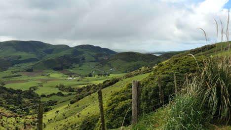 New-Zealand-Catlins-View-Beyond-Fence