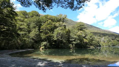 New-Zealand-Lake-Gunn-Wooded-Banks-Fiordland