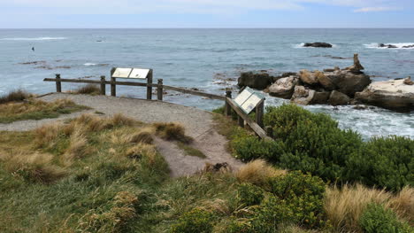 New-Zealand-Shag-Point-Coastline-Viewpoint