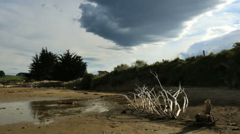 New-Zealand-Cloud-And-Driftwood-Moeraki