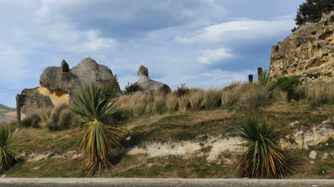 New-Zealand-Rocks-And-Grass-In-Wind
