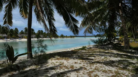 Aitutaki-Channel-To-Reef-With-Palms
