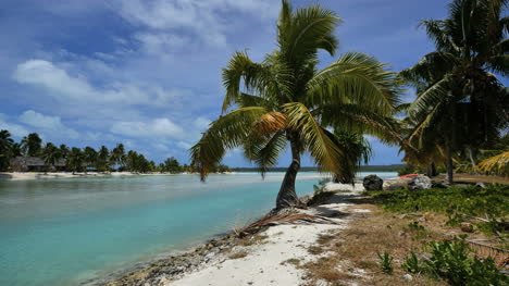 Aitutaki-Krumme-Palme-Durch-Kanal-Zur-Lagune