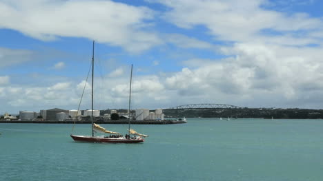 New-Zealand-Auckland-Bay-Sailboat-Sails-In-Sun-Pan