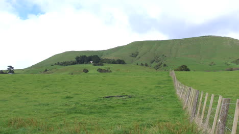 New-Zealand-Fence-And-Green-Meadow