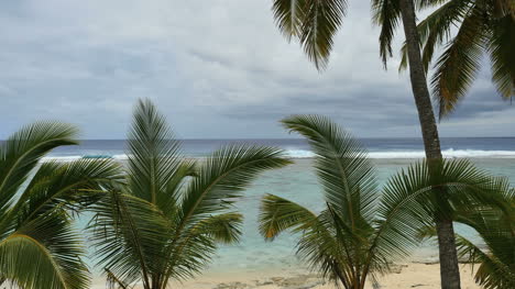 Rarotonga-Waves-On-Reef-Mostly-Obscured-With-Palm-Trees