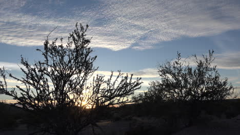 Arizona-Desert-Shrubs-And-Sky-Zoom-Toward-Sun