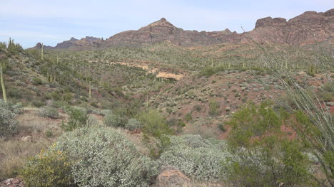 Ansicht-Des-Wüstentals-Von-Arizona