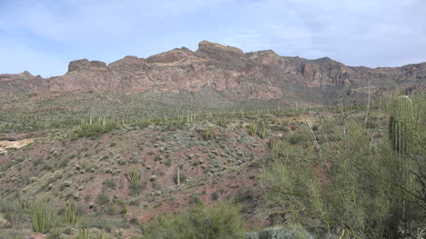 Arizona-Gute-Sicht-Auf-Orgelpfeife-Zoomt-Rein