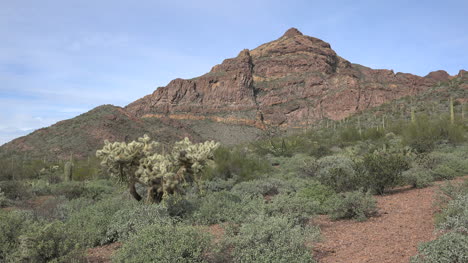 Arizona-Berglandschaft