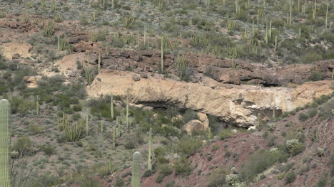 Arizona-Aus-Leichten-Felsen-Herauszoomen-Rock