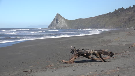 California-Beach-At-Dry-Lagoon-With-Interesting-Driftwood
