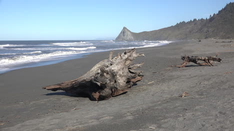 California-Beach-At-Dry-Lagoon-With-Tree-Stump-On-Beach