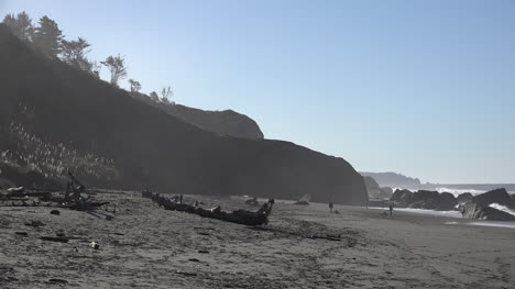Kalifornien-Strand-Treibholz-Und-Menschen